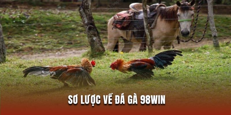 Đôi nét về đá gà 98win